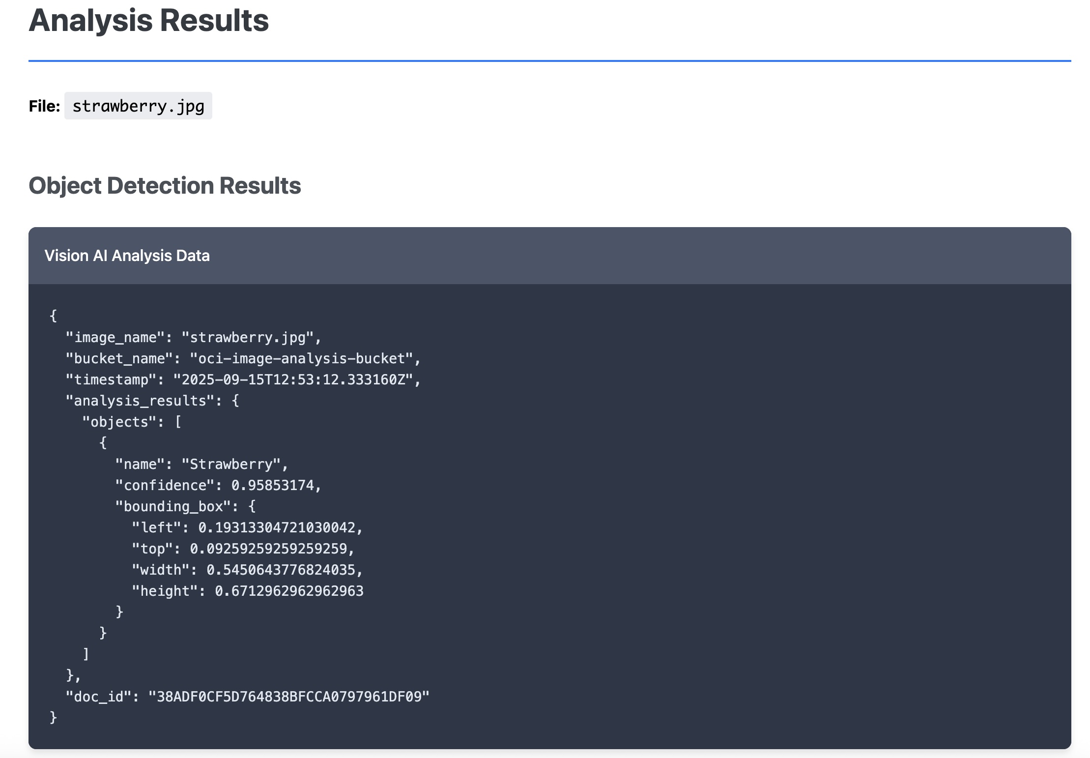Web App View Analysis JSON